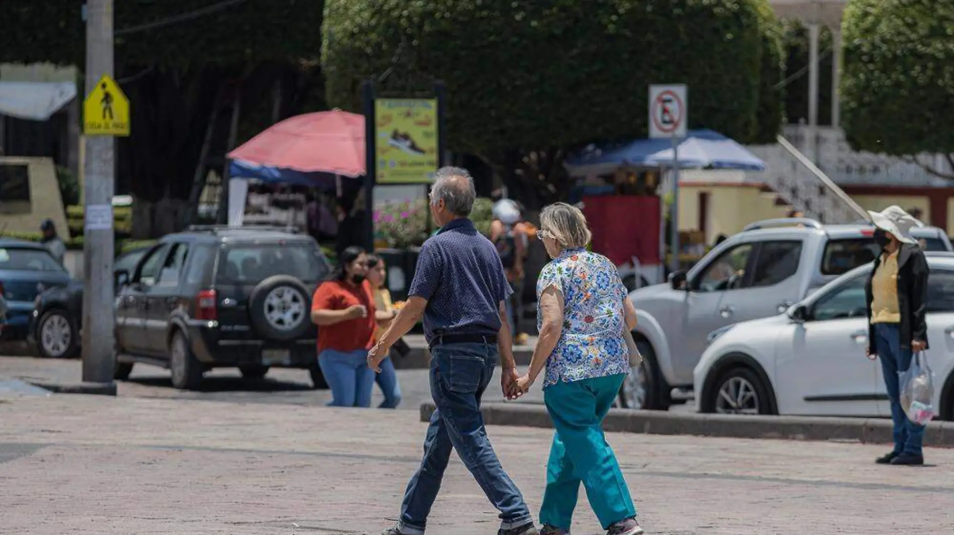 Encuesta Morena